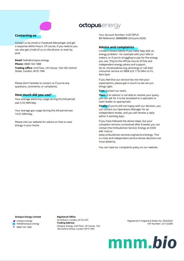 Szablon rachunku za energię w Wielkiej Brytanii Octopus w formacie Word i PDF, 3 strony 3